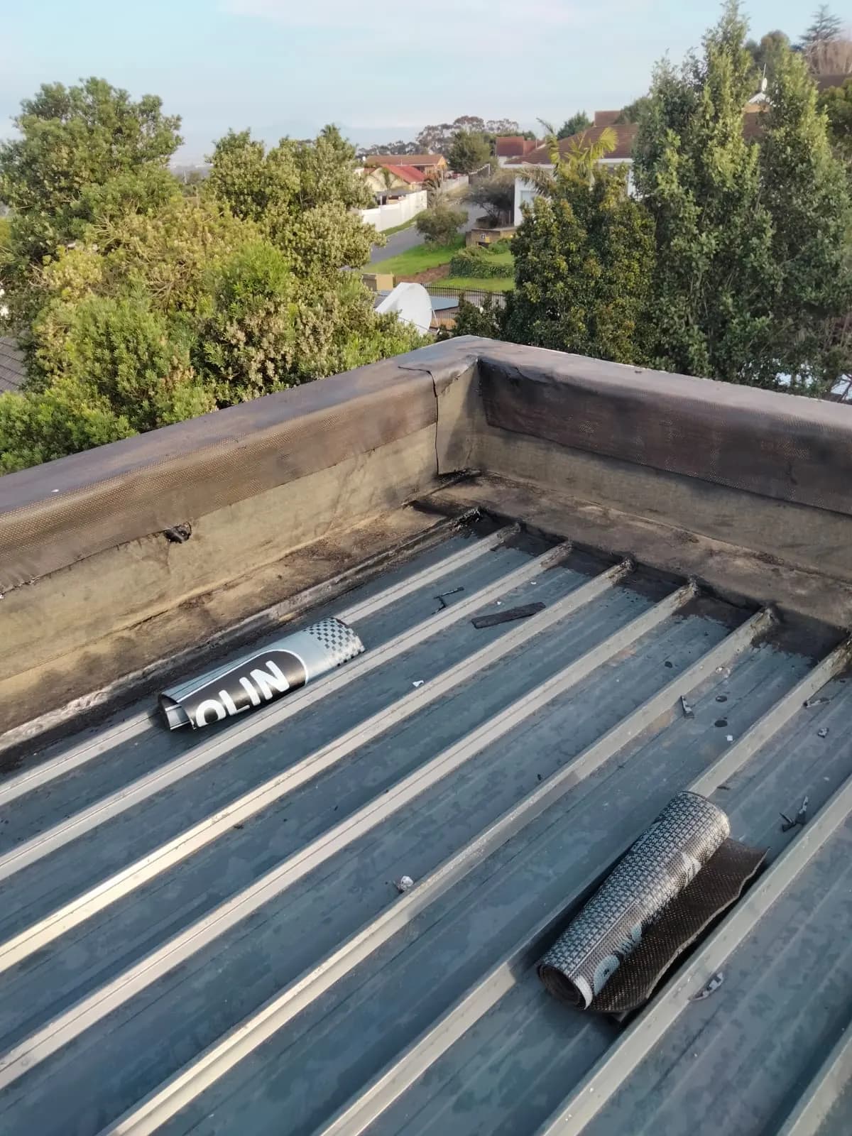 Roof Painting